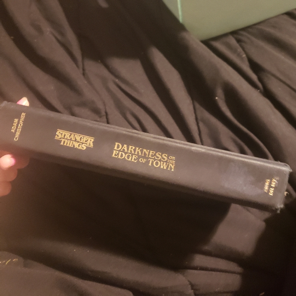 Darkness On The Edge Of Town Stranger Things Novel
